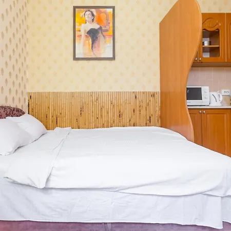 в центрі на вулиці шевченка 12 дуже комфортна недалеко біля вокзалу Apartment Lviv
