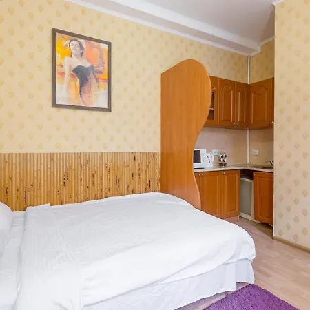 в центрі на вулиці шевченка 12 дуже комфортна недалеко біля вокзалу לבוב