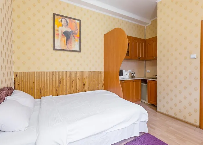 в центрі на вулиці шевченка 12 дуже комфортна недалеко біля вокзалу לבוב